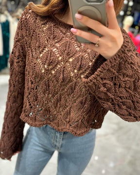 Raja Brown Openwork Knitwear Crop Sweater