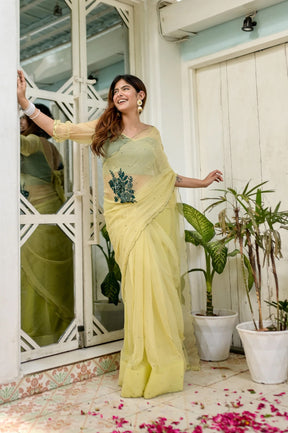 Chic Charisma Chiffon Saree