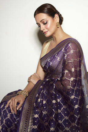 Dia Mirza in Regal Abhirami Blue Saree