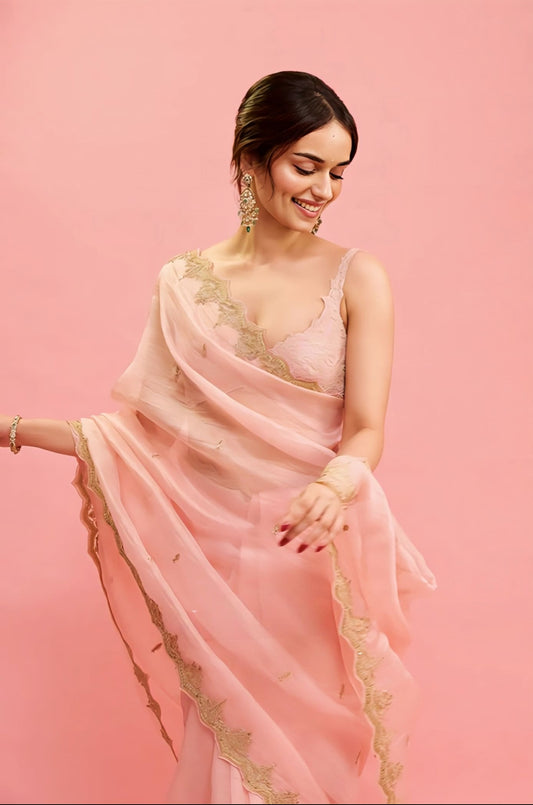 Manushi Chhillar inspired pink silk organza saree set with hand embroidery dori adda work tassels and net bralette