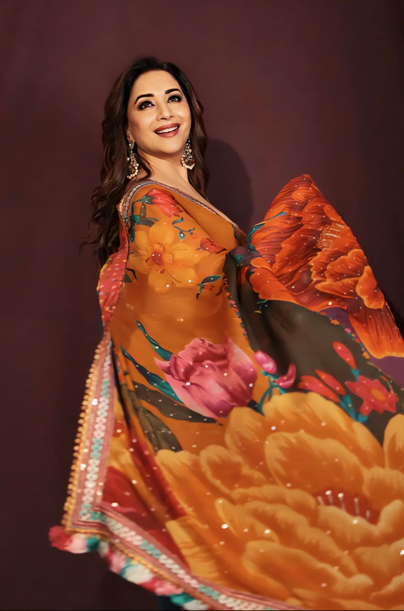 Madhuri Dixit Inspired Multicolour Organza Saree Set with Embroidery | Dil Rang Nigar Designer Outfit