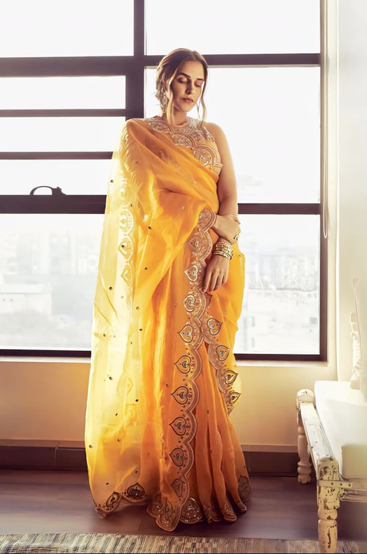 Neha Dhupia wearing yellow organza embroidered saree set