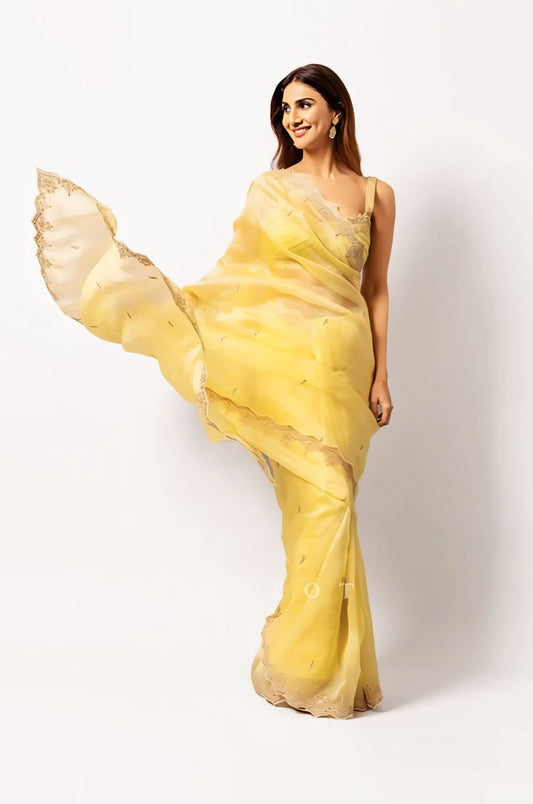 Silk organza embroidered saree inspired by Vaani Kapoor