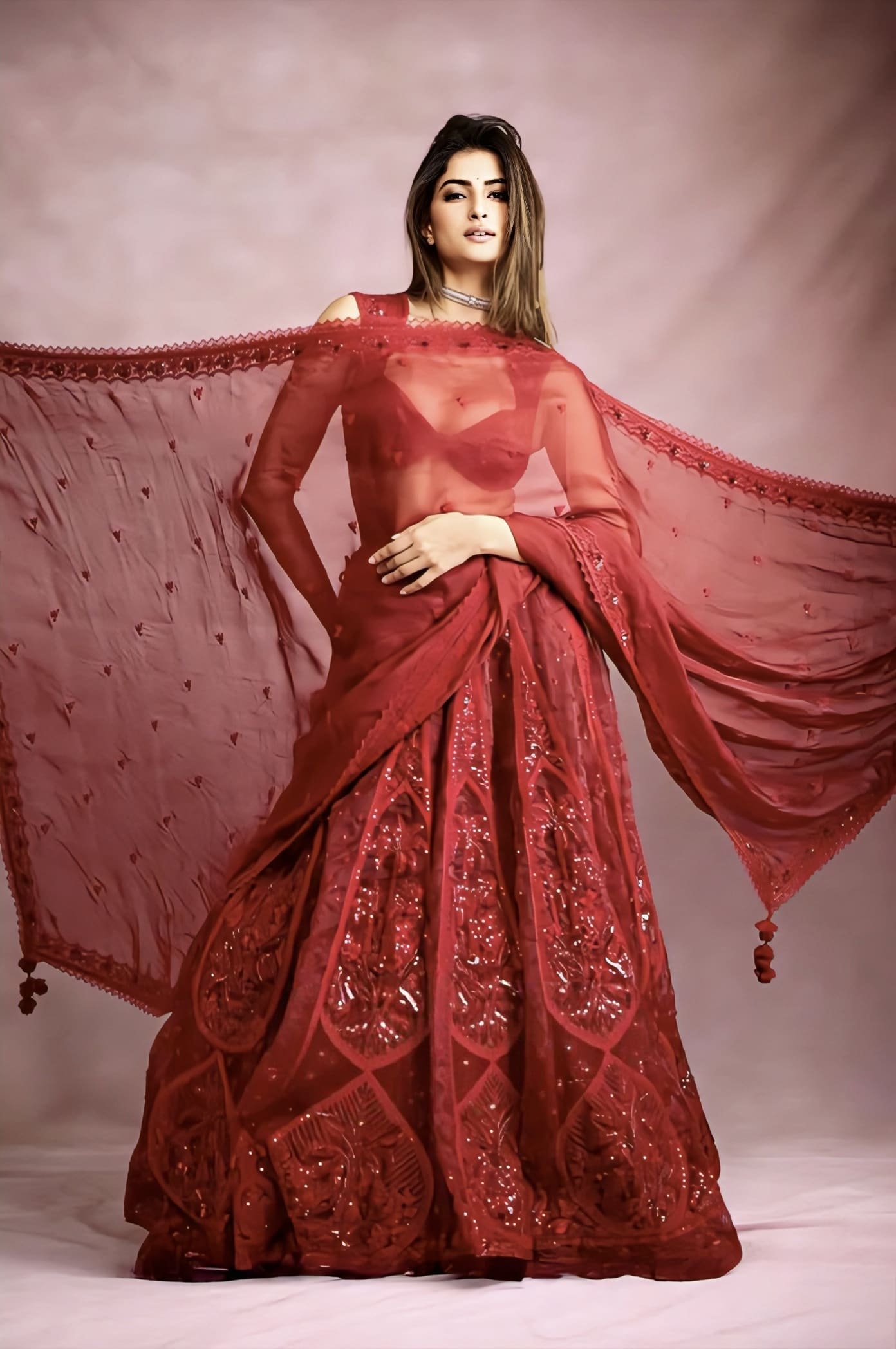 Red silk embroidered lehenga with organza dupatta inspired by Palak Tiwari