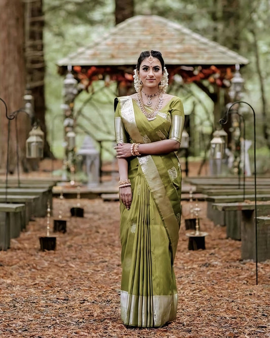 Parrot Green Saree with Silver Border Traditional Silk Saree for Wedding and Festive Wear